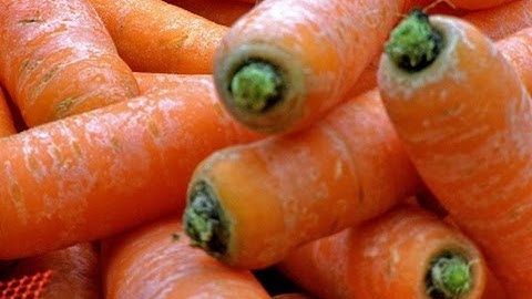 Raynbow optical sorter for carrots | RAYTEC VISION SpA