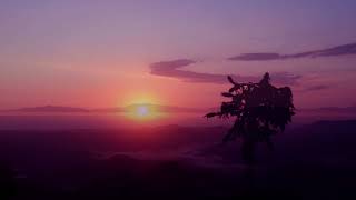 The Aussie Bush - Mount Warning Sunrise