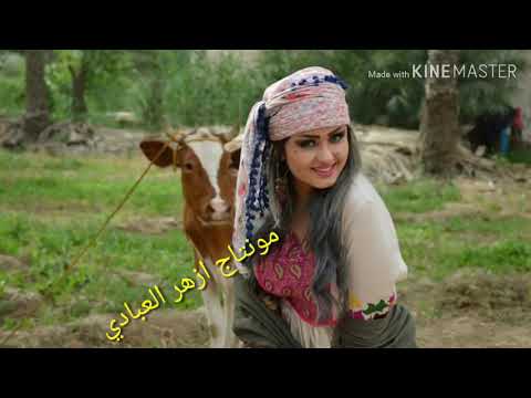 موال اسد باب العتب وياك يجنن للضايجين 