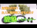財運のお守り★主人に臨時収入をもたらす【貔貅(ヒキュウ)】不思議～♪ヒキュウが集まるタイミング！？ヒキュウたちがいろいろ入荷です(^^)