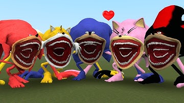 THE SONIC TAPES VS AMY TAPES VS TAILS TAPES VS KNUCKLES TAPES VS SHADOW TAPES In Garry