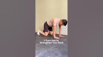 5 Exercises to Strengthen Your BACK!! 🔥🔥🔥 #backpain #backpainexercises #physicaltherapy