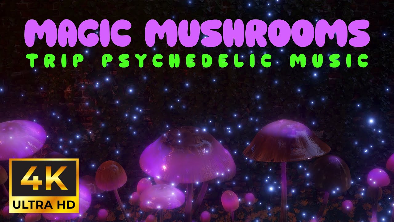 Magic Mushroom Trip Music | 4K Floating Video