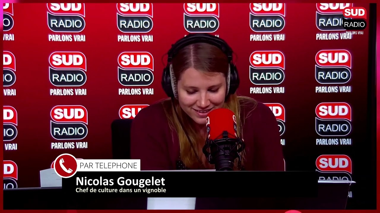 Nicolas Gougelet, chef de culture dans un vignoble : "Le climat est de plus en plus compliqué"