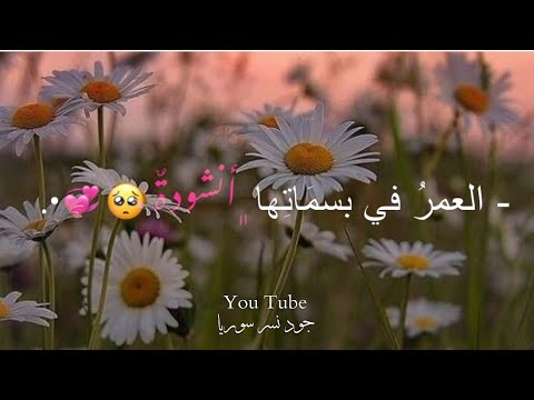 العمر في بسماتها حالات واتس اب حب اسلامية اناشيد حب دينية اناشيد حب اسلامية اجمل حالات واتس 2023