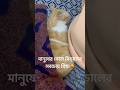 Finding warmth🐈#cutecat #catlovers #animallover #viralshorts #shortsviral #shortsvideo