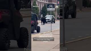 A Cow Gets Loose At The University Of Illinois And Tours The Cdanus
