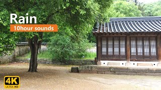 10 Hours Rain & Bird Singing in the Kor Traditional House | Relax | Sleep | white noise