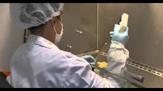 Centeno Schultz Clinic - The Nation's Leading Interventional Orthopedic Clinic.