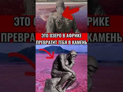 Это Озеро в Африке Превратит Тебя В Камень #shorts