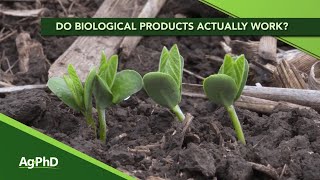 Do biological products actually work? (From Ag PhD Show #1111 - Air Date 7-21-19)