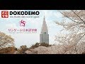 Dokodemo  shinjuku linguage japanese language schooltokyo