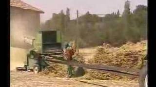 Dambasanda Harman Zamanı