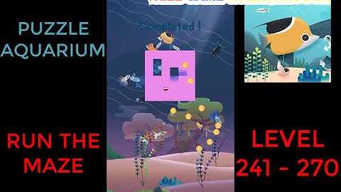 Puzzle Aquarium | Run The Maze Level 241 - 270 | Walkthrough