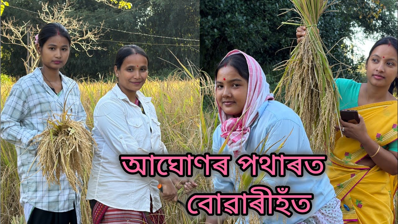 আঘোনৰ পথাৰত দাৱনীহঁত//Assamese comedy video//Assamese funny video//