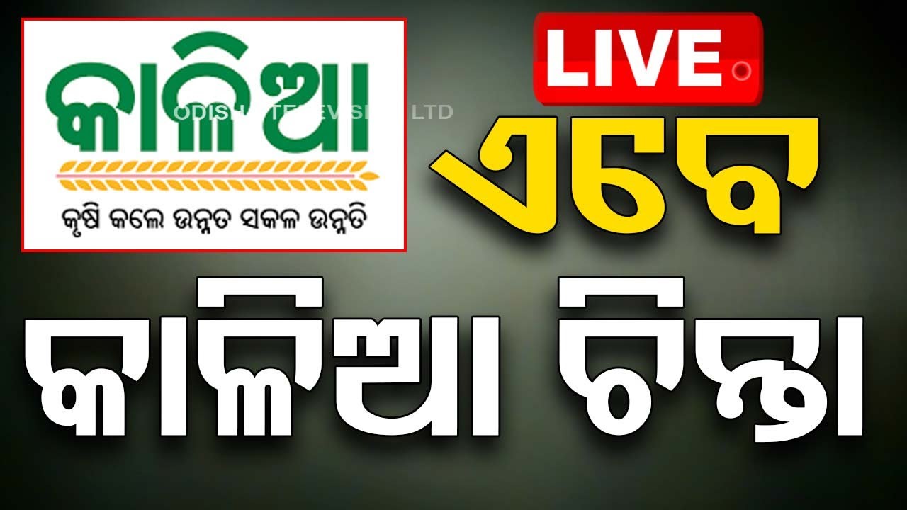 ????Live | ପିଏମ୍ କିଷାନ ଟଙ୍କା ମିଳିଲା, ଏବେ କାଳିଆ ଚିନ୍ତା | Kalia Yojana | PM Kisan | Odisha