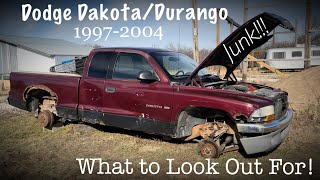 What to Look For When Buying a Dodge Dakota!