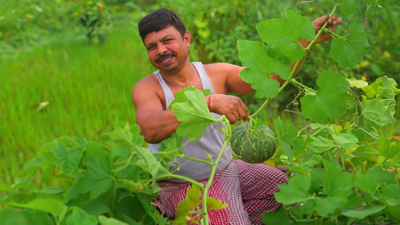 कद्दू के पत्ते की सब्जी ऐसे बनाइये जो मटन और चिकन के स्वाद को भी भुला दे / Pumkin Leaves Recipe