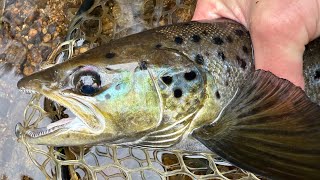 PESCA DE SALMONES