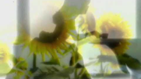 [CDP] If Everyone Cared