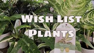 🌱 Home Depot Big Box Houseplant Shopping Tour 🌱 Amazing Finds Hoyas 🌱 Monstera  🌱 Philodendron