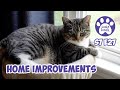 Home improvements working from home nancy vs boo mail time  s7 e27  lucky ferals cat vlog