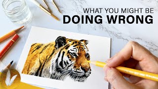 Build Fur Structure Right | Colored Pencil Fur Techniques For Beginners Wealth