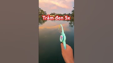 🤣🤣🤣 #fishing #cauca