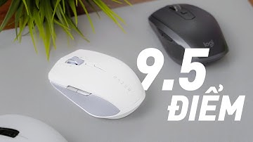 VUA của các loại chuột văn phòng!! - Đánh giá Razer Pro Click Mini