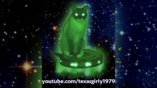 Alien Cat On Ufo. Irobot Roomba Vacuum Roomba Cat Max-Arthur. Helenspets
