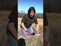 Setting foot traps !! As a BEGINNER !!! 