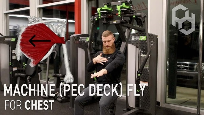 How to Perfect Pec Deck, Exercise Videos & Guides - weighteasyloss.com -  Fitness Lifestyle, Fitness and Bo…