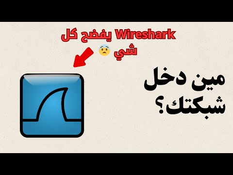  باختصار متى تستخدمه كيف يشتغل وأسرار الباكتات مثال حقيقي