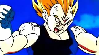 Vegeta tribute