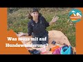 Must-Have Hundewanderung: 7 Equipment-Tipps fürs Wandern mit Hund