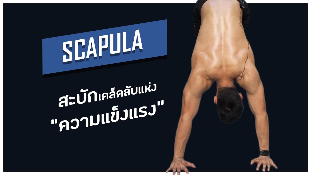 สะบัก(Scapula)เคล็ดลับของความแข็งแรงทุกคนควรฝึก | Calisthenics