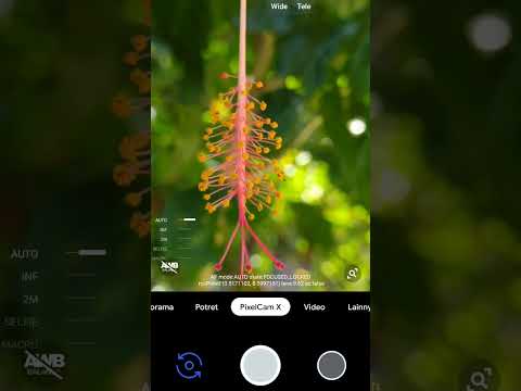 Gcam Redmi note 8 macro android 11 pixelcamx #gcam #redminote8 #android11