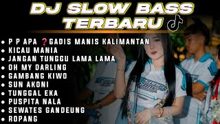 DJ SLOW BASS SPECIAL LAGU KARNAVAL VIRAL TIKTOK BASS HOREG 2026 • PE PE APA ❓ • TUNGGAL EKA