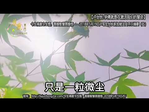 【卢台长 ~学佛就是在激活我们的慧命】