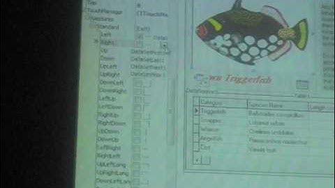 DelphiLive 2009 Touch Application with Delphi Part IV