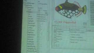 DelphiLive 2009 Touch Application with Delphi Part IV