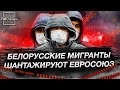 Белорусские мигранты шантажируют и угрожают Евросоюзу | Площадка. Панорама