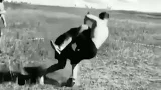 Dava Whatsapp Ucun Status