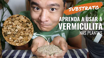 Para que serve a vermiculita expandida?