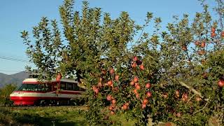 長野電鉄・紅いリンゴ収穫の秋4・特急「ゆけむり」1000系