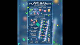 NCERT.. MOLECULAR BASIS OF INHERITANCE -PART01#Shorts #Viral#Trending #Explore#ncert#neet#fyp