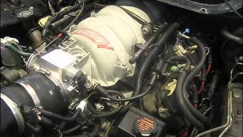 99 Trans Am LSR cam idle video untuned