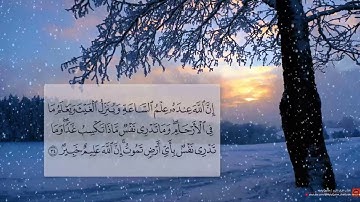 ما تيسر من سورة #لقمان 33-34 | أبوبكر #الشاطري