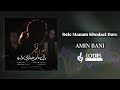 Amin Bani Dele Manam Khodaei Dare امین بانی دل منم خدایی داره 