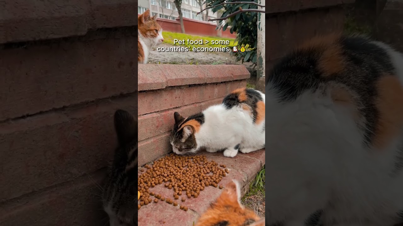 U.S. Statistics That Sound Fake But Are Real (Country Files #7 — United States 🇺🇸)